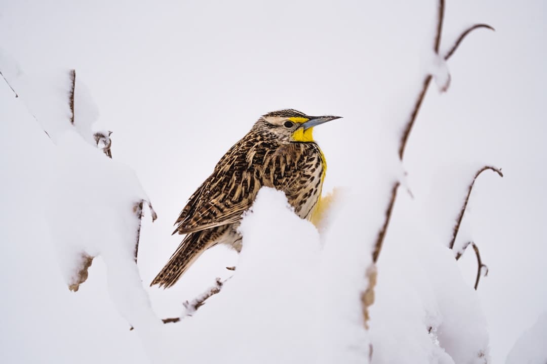 【西藏调查·光辉60载】文明薪火传千年 雪域新篇绘新颜